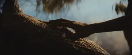 Brandfilm