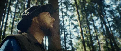 TV Spot